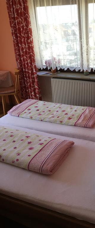 Gasthof Und Pension Mainzer Rad Σβέτζινγκεν Εξωτερικό φωτογραφία